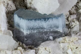 Aquamarine Crystal in Albite Crystal Matrix - Pakistan - Crystal #111367