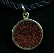 Agatized Dinosaur Bone Pendant - Silver & K Gold #7890