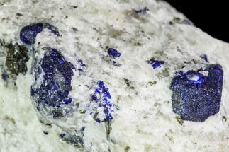 Lazurite Crystals In Pyrite in Marble Matrix - Afghanistan #111789