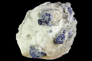 Lazurite and Pyrite in Marble Matrix - Afghanistan #111797
