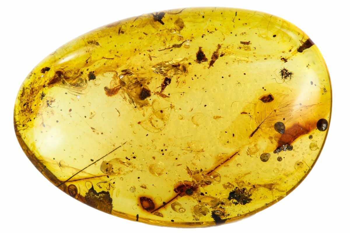 Cretaceous Fossil Feather In Amber - Myanmar For Sale (#112627 ...