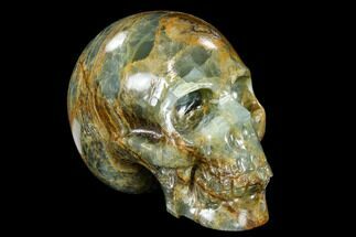 Carved, Blue Calcite Skull - Argentina #113409