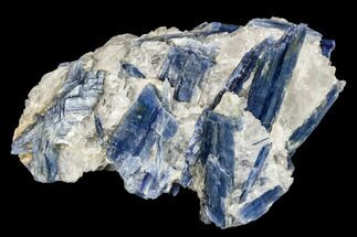 Vibrant Blue Kyanite Crystal Cluster - Brazil #113492