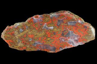 Colorful, Polished Plume Agate Section - Morocco #114879
