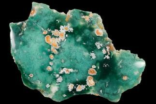 Polished Mtorolite (Chrome Chalcedony) - Zimbabwe #115545