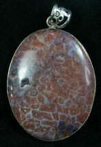 Large Red Fossil Coral Pendant #8064