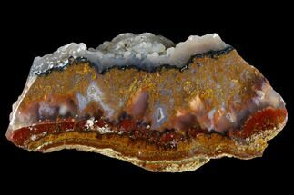 Bird Of Paradise Agate Section - Chihuahua Mexico #114907