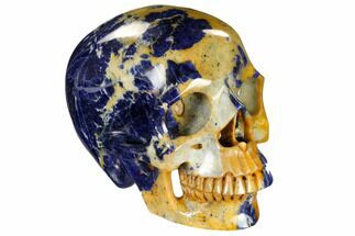 Realistic, Polished Sodalite Skull #116491