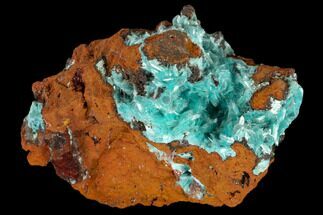 Aurichalcite Crystal Cluster - Mexico #119134
