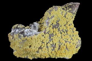 Mimetite Crystal Clusters on Limonitic Matrix - Mexico #119122