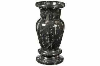 Fossil Orthoceras Stoneware Vase - Morocco #122444