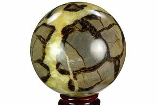 Polished Septarian Sphere #122933