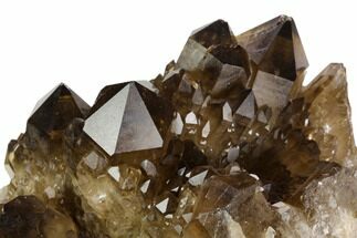 Smoky Citrine Crystal Cluster - Congo #124549