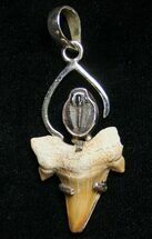 Trilobite & Fossil Shark Tooth Pendant #8509