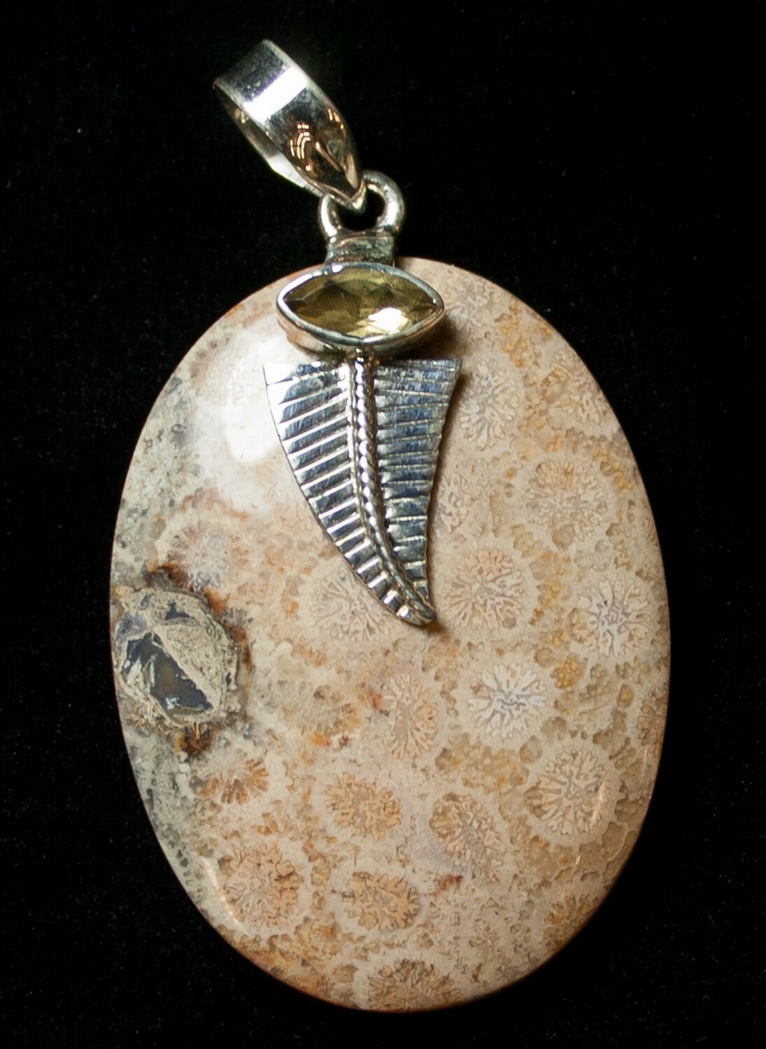 Large Fossil Coral Sunburst Pendant (8519) For Sale