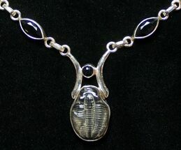 Sterling Silver Elrathia Trilobite Necklace #8584