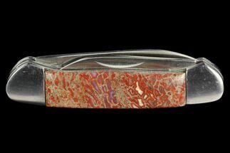 Pocketknife With Fossil Dinosaur Bone (Gembone) Inlays - Blade #127556