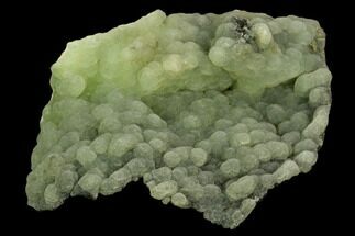 Botryoidal Forest-Green Prehnite - Patterson, New Jersey #127848