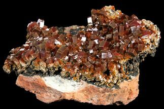 3.9" Gorgeous, Ruby-Red Vanadinite Crystal Cluster - Large Crystals - Crystal #127655