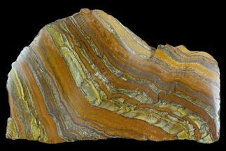 Polished Tiger's Iron Section - South Africa #128527