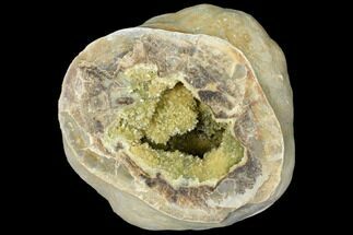 Yellow Crystal Filled Septarian Geode ( lbs) - Utah #127994