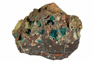 Dioptase Crystals on Rock - Namibia #126935