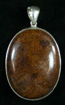 Agatized Dinosaur Bone & Sterling Silver Pendant #9112