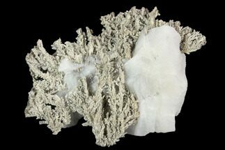 Native Silver Formation in Etched Calcite - Morocco #130775