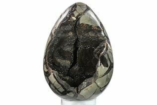 Fossil Filled Easter Eggs! - 3 Pack For Sale - FossilEra.com