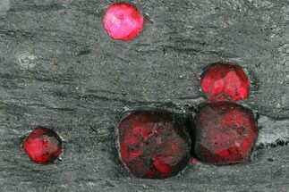 Plate of Five Red Embers Garnet in Graphite - Massachusetts #135479