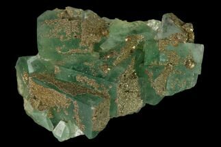 Green Fluorite Crystal with Druzy Pyrite - Fluorescent #136882