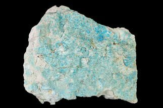 3" Powder Blue Chalcanthite - Mina Ojuela, Mexico - Crystal #136847