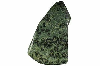Polished Kambaba Jasper Freeform - Madagascar #137175