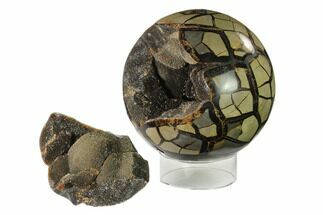 Polished Septarian Geode Sphere - Removable Section #137936