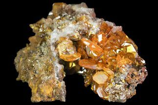 Wulfenite Crystal Cluster on Calcite - Mexico #139794