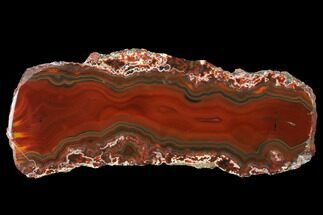 Colorful, Polished Condor Agate Section - Argentina #141397