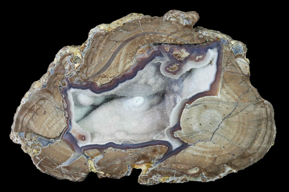 6" Crystal Filled Dugway Geode (Polished Half) Utah For Sale (141311)