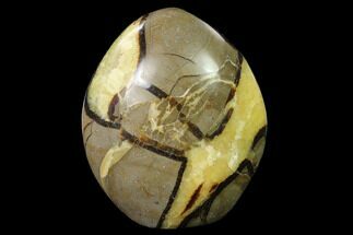 5" Free-Standing, Polished Septarian - Madagascar - Crystal #140988