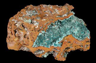 Selenite Encrusted Rosasite and Aurichalcite Clusters - Mexico #144573