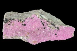 Sparkling, Druzy Cobaltoan Calcite - Congo #146703