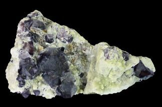 Purple-Blue Cubic Fluorite Crystals - Inner Mongolia #146945