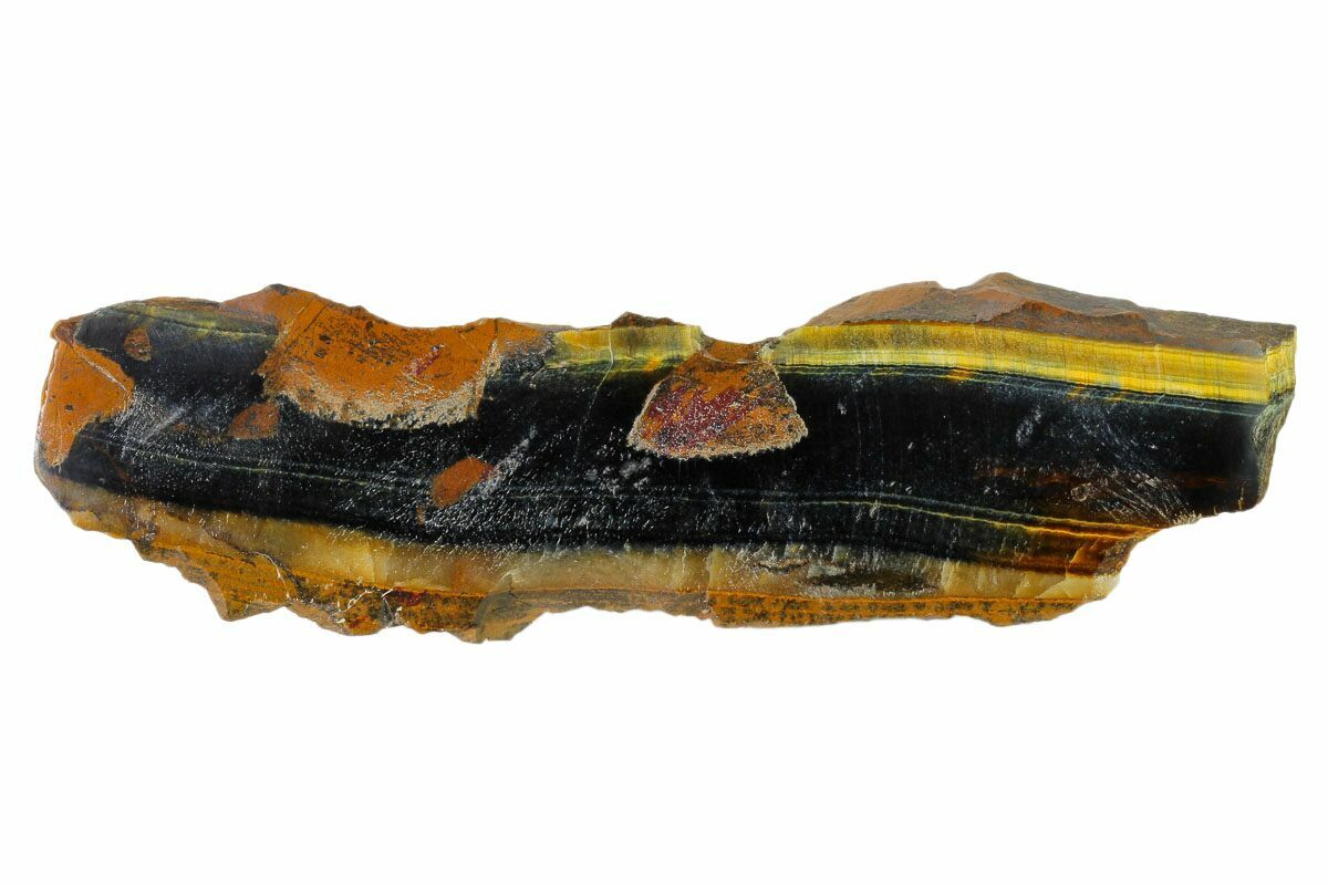 6" Polished Blue Tiger's Eye Section South Africa (148290) For Sale