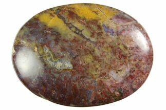 Petrified Palm Root Pocket Stones - Red Color - Fossil #150323
