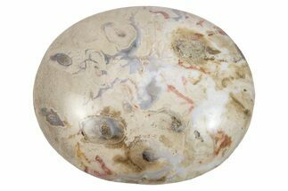 Petrified Palm Root Pocket Stones - Brown Color #150324