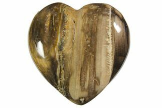 Polished Petrified Wood Hearts #150385