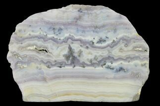 Sowbelly Agate (Amethyst) Slab - Colorado #150586