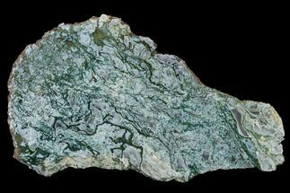 Polished Moss Agate Slab - Oregon #150595