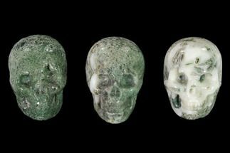 1.5" Polished Tree Agate Skulls  - Crystal #151369