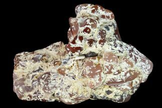 4.1" Pink Agate Petrified Wood Limb Cast - Nevada - Crystal #152125