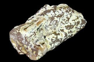 3.8" Pink Agate Petrified Wood Limb Cast - Nevada - Crystal #152128